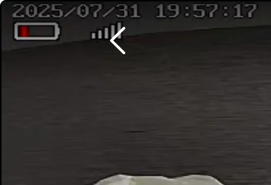 ALEVIO 2.5K Solar Camera Wireless Outdoor WIFI Cam Ultra Standby Time PIR Smart Light Color Night Vision AI Detect Battery Cam photo review